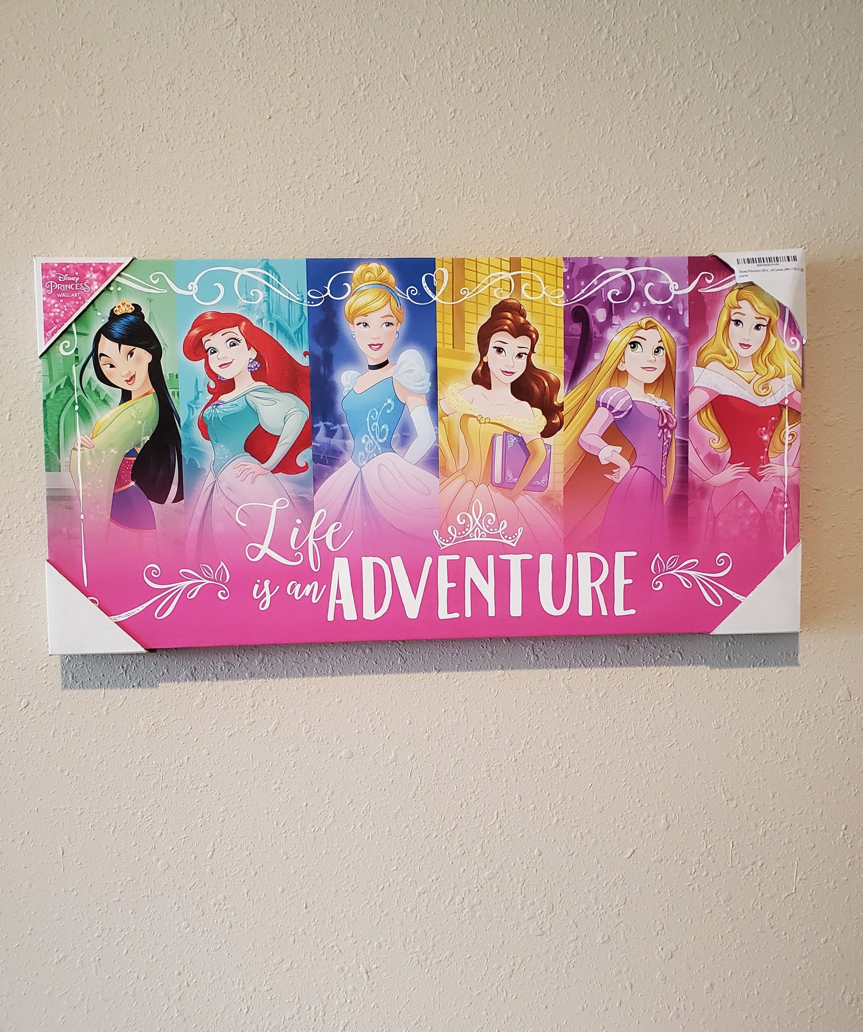 Disney Princess Canvas Print