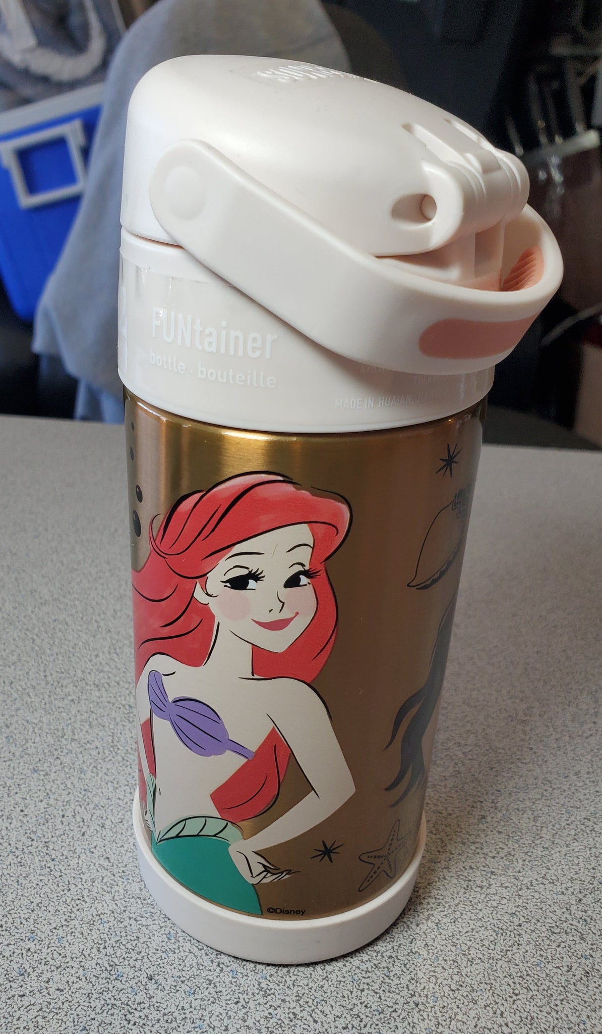 Thermos Funtainers 12 Ounce Disney Princess Bottle 